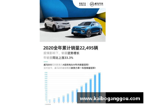 EBET易博真人平台威马2020全年销量22,495辆，四季度创历史新高，EX5稳居造车新势力 - 副本